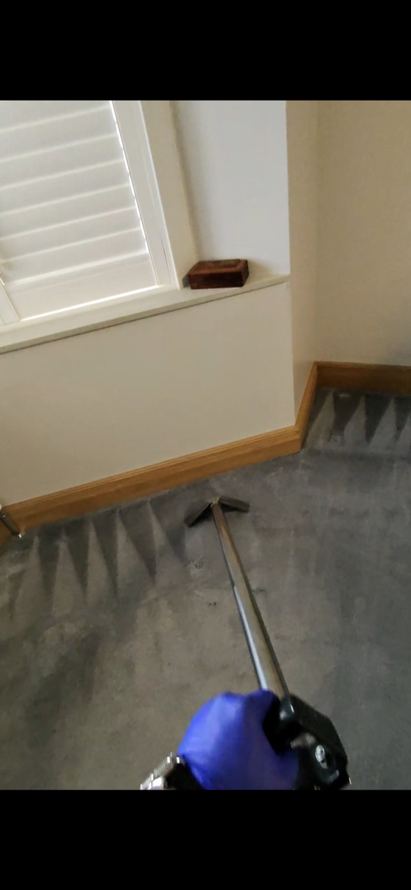 Carpet cleaning job